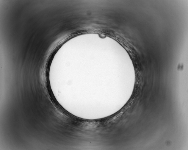 X0000103910245200810101314