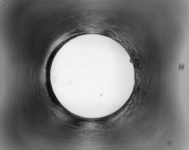 X0000103910246200810101314