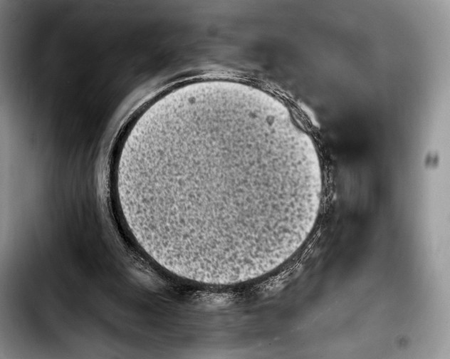 X0000103910247200810101314