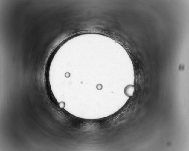 X0000103910248200810101314