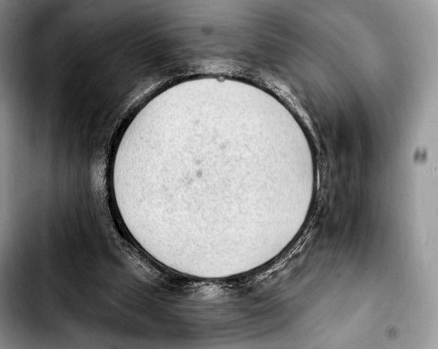 X0000103910249200810101314