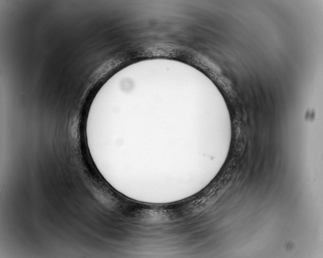 X0000103910250200810101314