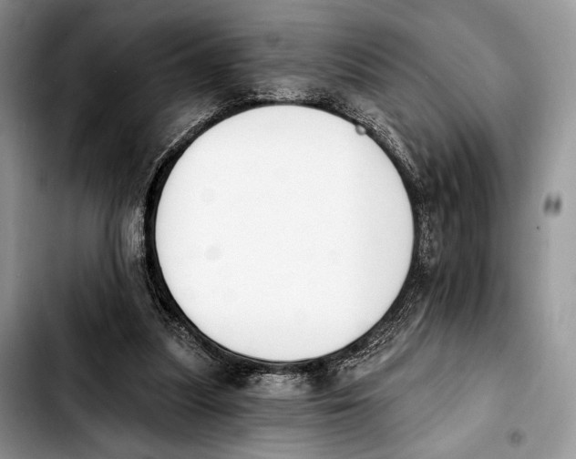 X0000103910251200810101314