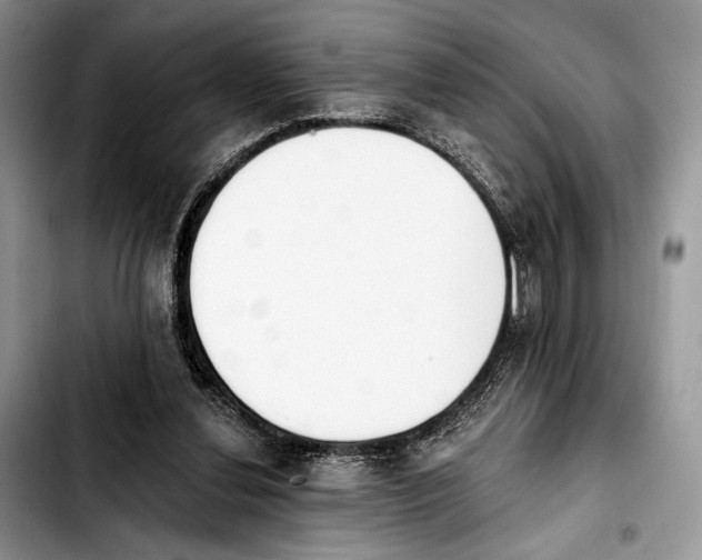 X0000103910252200810101314