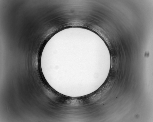 X0000103910253200810101314