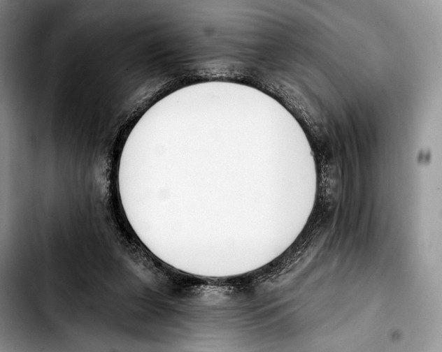 X0000103910255200810101314