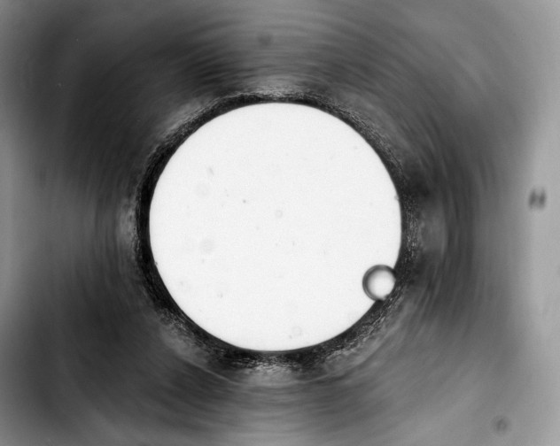 X0000103910256200810101314