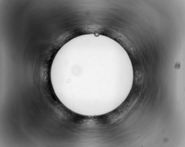 X0000103910259200810101314