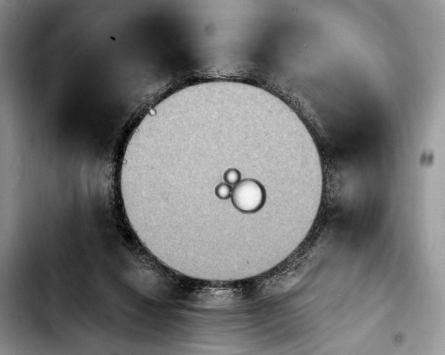 X0000103910260200810101314