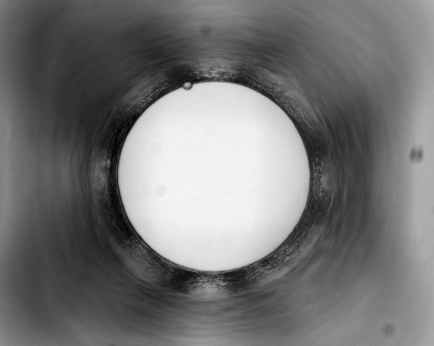 X0000103910263200810101314