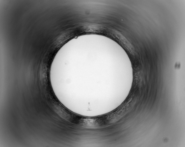 X0000103910265200810101314