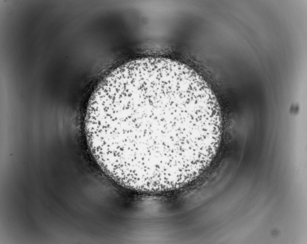 X0000103910268200810101314