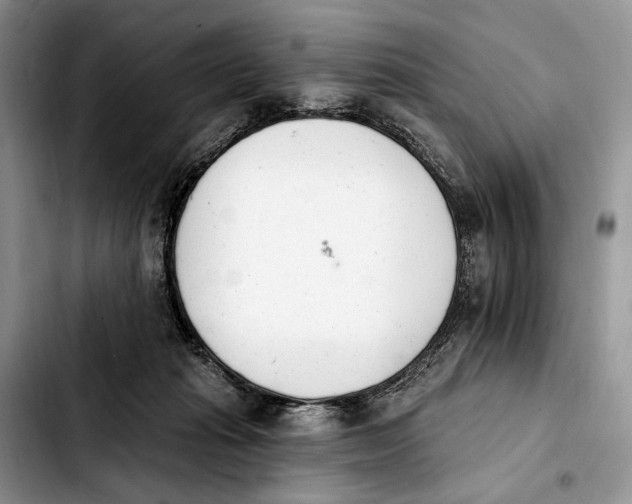 X0000103910269200810101314