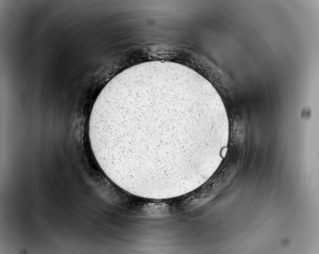 X0000103910271200810101314