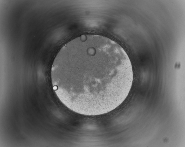 X0000103910272200810101314