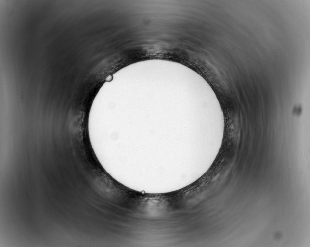 X0000103910275200810101314