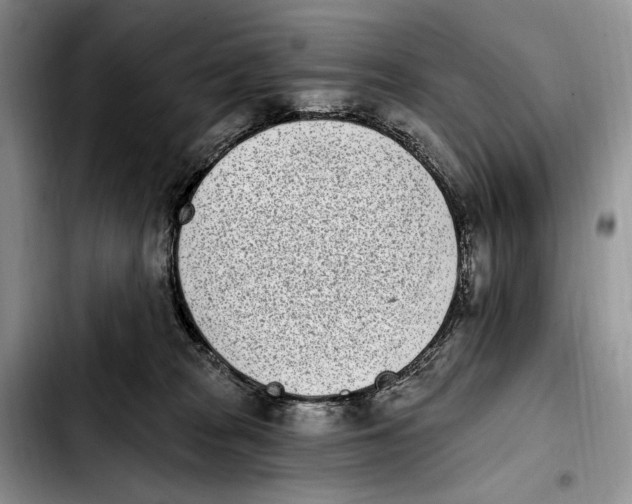 X0000103910277200810101314
