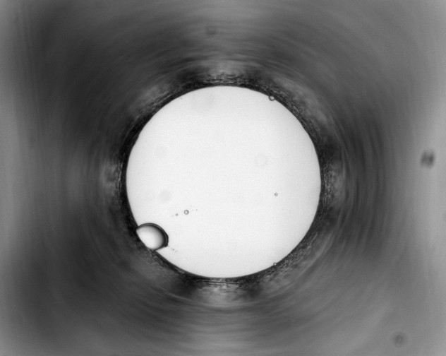 X0000103910278200810101314