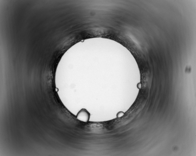 X0000103910279200810101314
