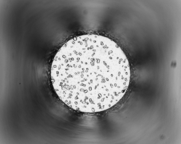X0000103910280200810101314