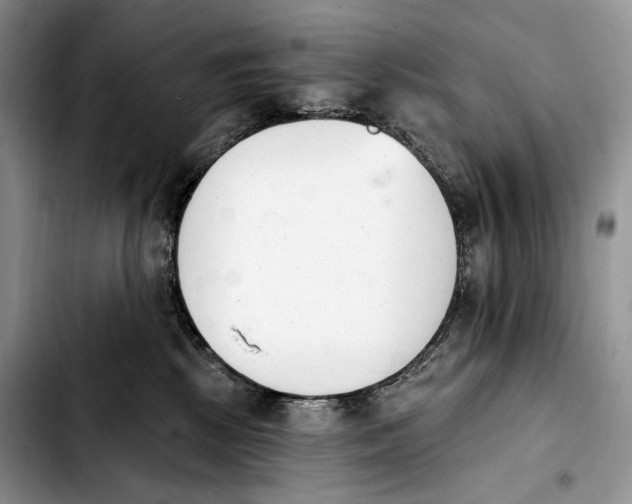 X0000103910281200810101314
