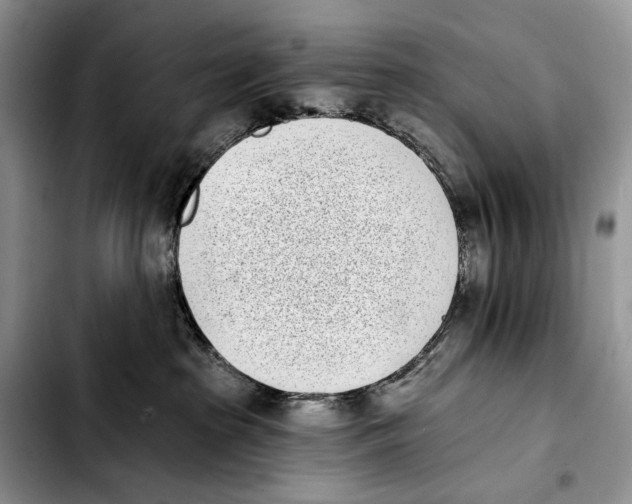 X0000103910285200810101314