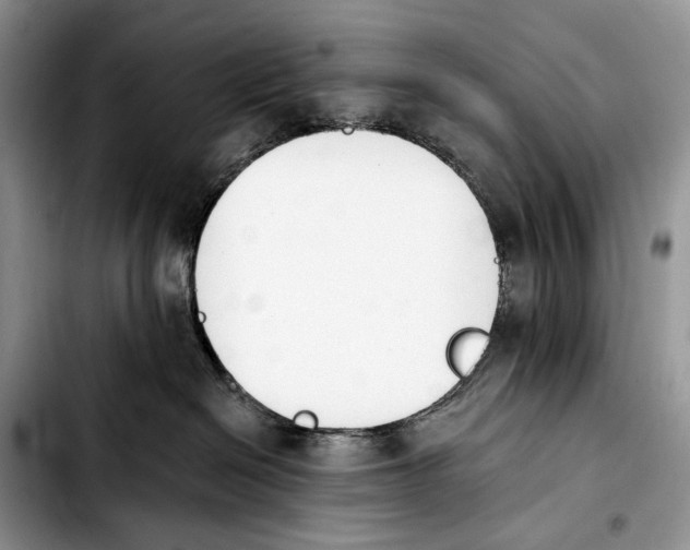 X0000103910286200810101314
