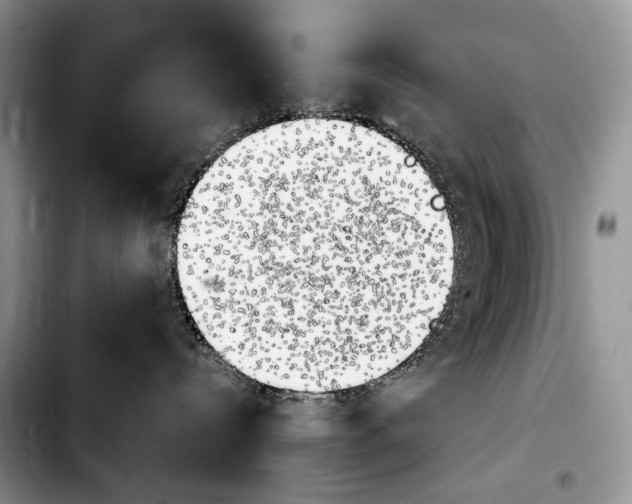 X0000103910288200810101314
