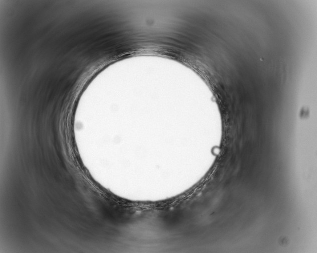 X0000103910289200810101314