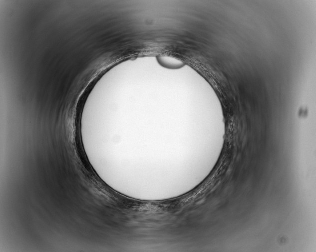 X0000103910290200810101314
