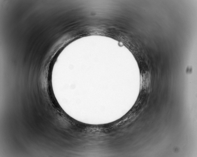 X0000103910291200810101314