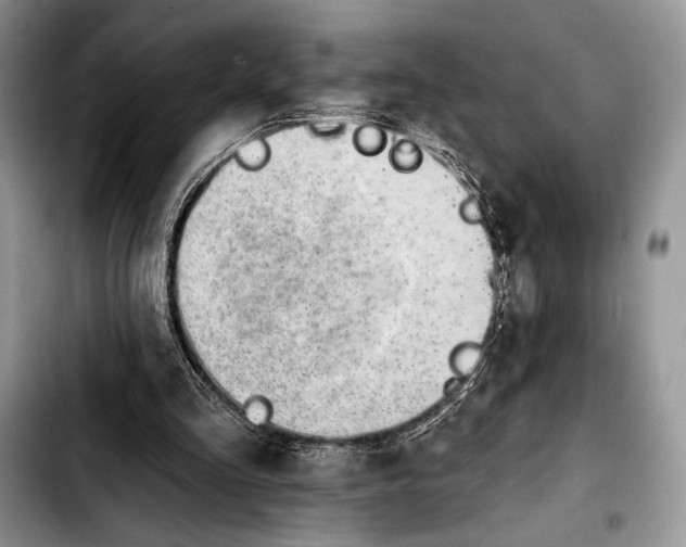 X0000103910293200810101314