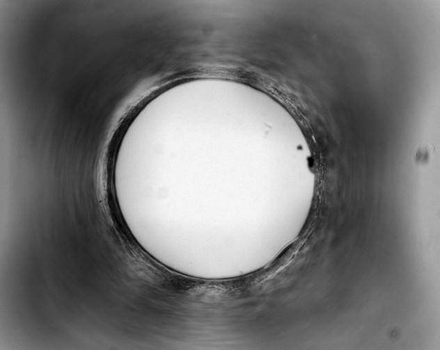 X0000103910294200810101314