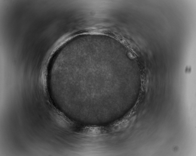 X0000103910295200810101314