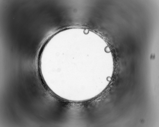 X0000103910296200810101314