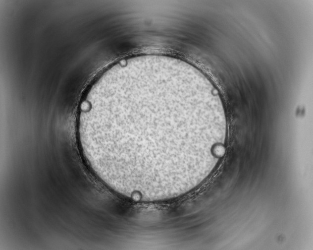 X0000103910297200810101314