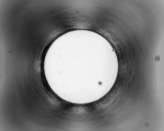 X0000103910299200810101314