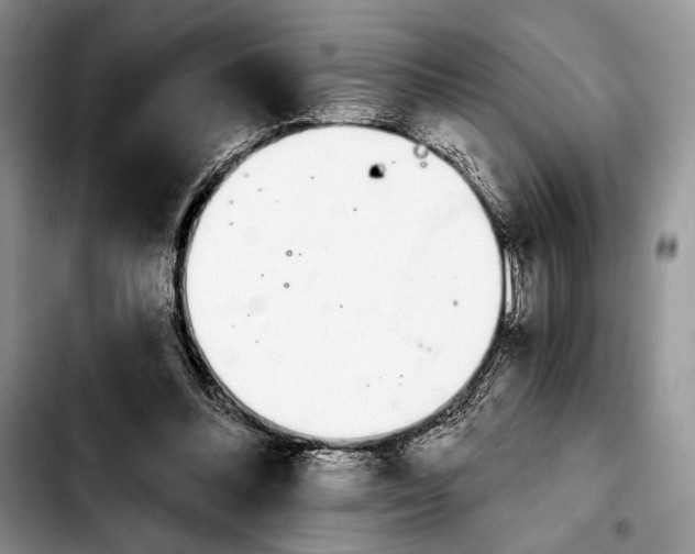 X0000103910300200810101314