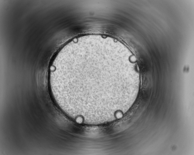 X0000103910301200810101314