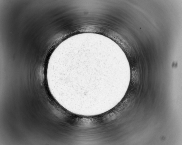X0000103910302200810101314