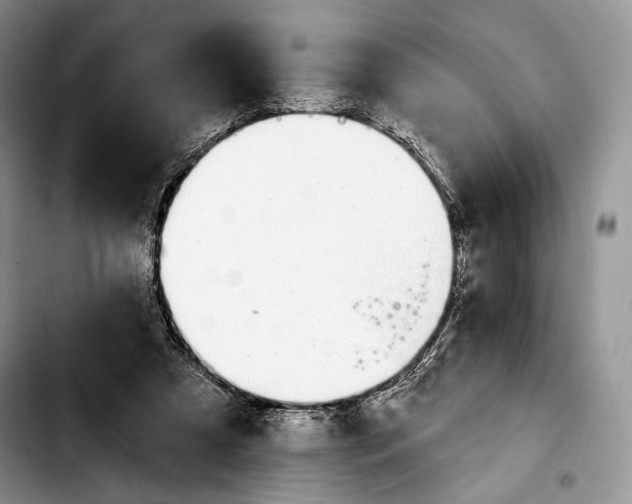 X0000103910305200810101314