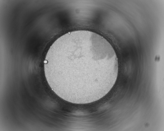 X0000103910308200810101313