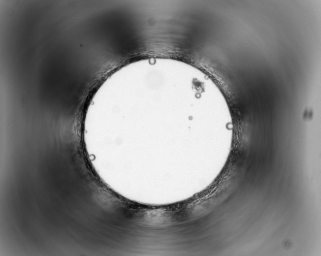 X0000103910309200810101313