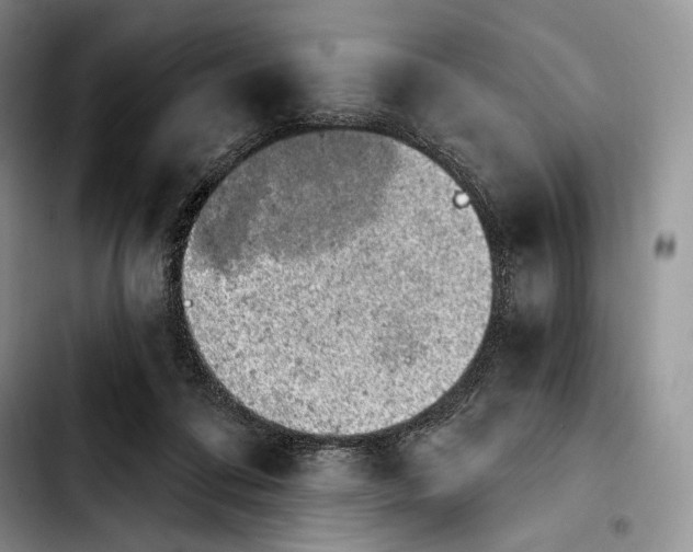 X0000103910312200810101313