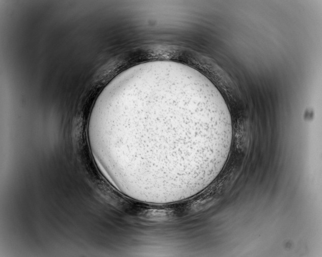X0000103910314200810101313