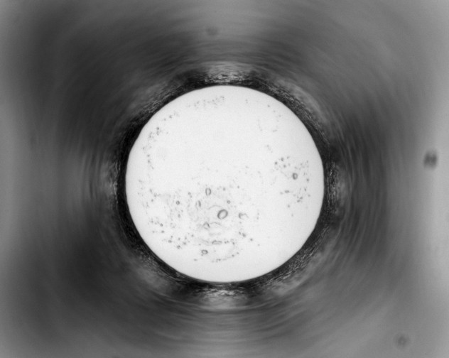 X0000103910315200810101313