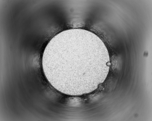 X0000103910316200810101313
