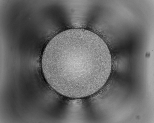X0000103910317200810101313