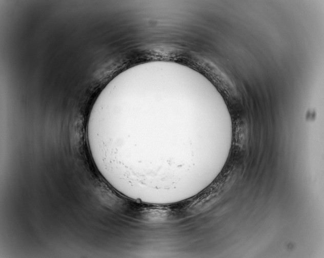 X0000103910318200810101313