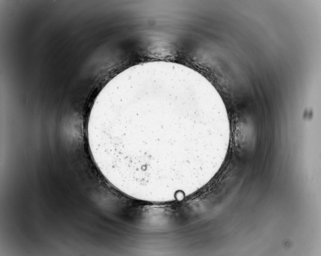 X0000103910320200810101313